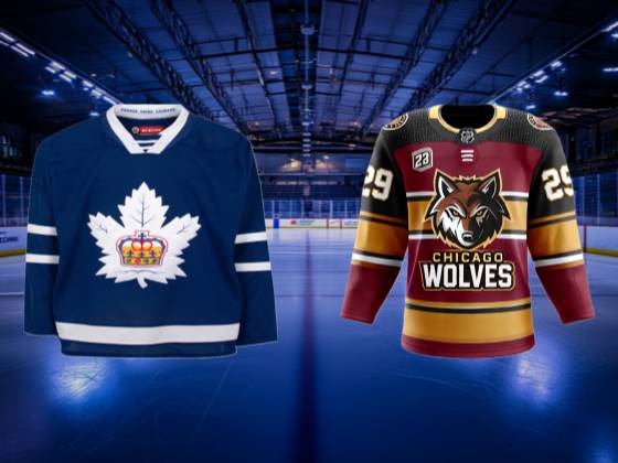 Toronto Marlies at Chicago Wolves: Calder Cup Finals (Home Game 2, Series Game 2)